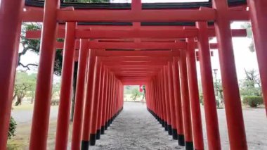 24 Mart 2025, Inari Tapınağı Kumamoto 'da Sabah