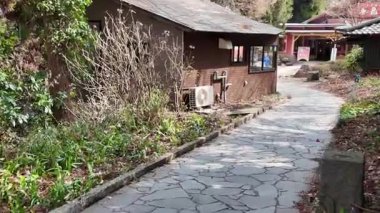 26 Mart 2025, Minami Aso Baharı 'ndaki Temiz Su