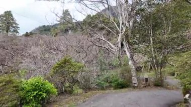 Mifuneyama Rakuen 'in Sahne Görüntüleri, 26 Mart 2025