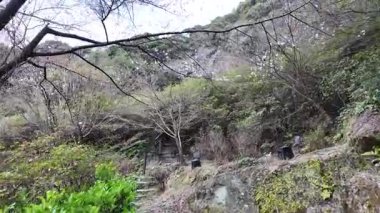 Mifuneyama Rakuen 'in Sahne Görüntüleri, 26 Mart 2025