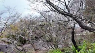Mifuneyama Rakuen 'in Sahne Görüntüleri, 26 Mart 2025