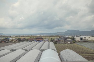 24 Mart 2025 'te seraların yer aldığı bir tarım alanının manzarası,