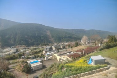 Huzurlu kırsal kesimde manzaralı bir vadi, çiçek açan bir ağaç