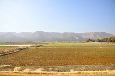 Yeşil tarlaları olan geniş tarım arazileri sergileniyor.