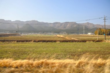 Yeşil tarlaları olan geniş tarım arazileri sergileniyor.