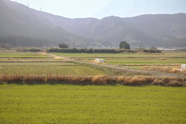 Yeşil tarlaları olan geniş tarım arazileri sergileniyor.