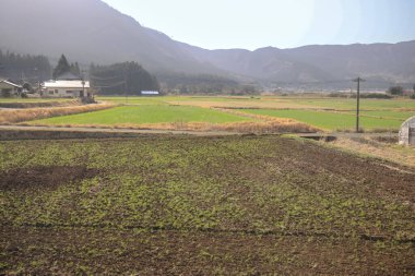 Yeşil tarlaları olan geniş tarım arazileri sergileniyor.