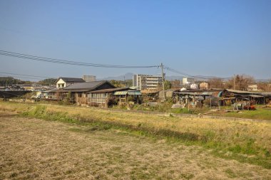 Yeşil tarlaları olan geniş tarım arazileri sergileniyor.