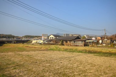 Yeşil tarlaları olan geniş tarım arazileri sergileniyor.