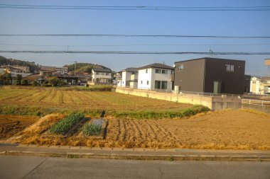 Yeşil tarlaları olan geniş tarım arazileri sergileniyor.