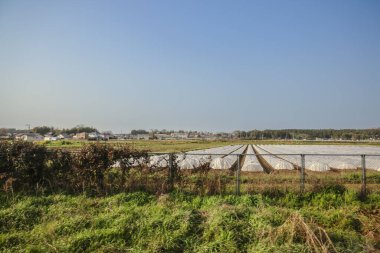 Yeşil tarlaları olan geniş tarım arazileri sergileniyor.
