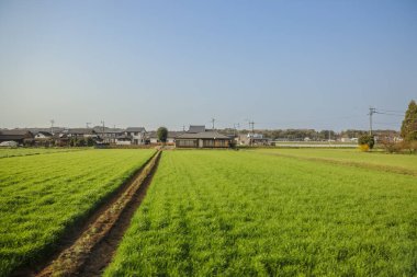 Yeşil tarlaları olan geniş tarım arazileri sergileniyor.