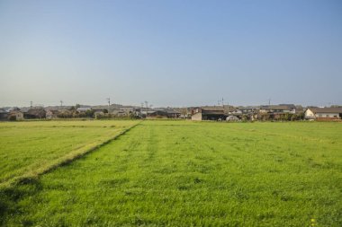 Yeşil tarlaları olan geniş tarım arazileri sergileniyor.