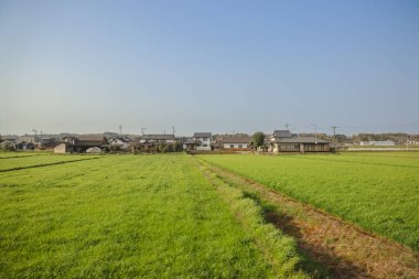 Yeşil tarlaları olan geniş tarım arazileri sergileniyor.