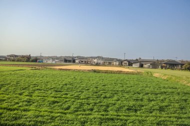 Yeşil tarlaları olan geniş tarım arazileri sergileniyor.