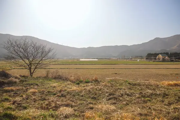 Yeşil tarlaları olan geniş tarım arazileri sergileniyor.