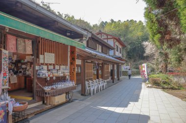 Doğal ortamda küçük dükkanları olan geleneksel bir Japon caddesinin büyüleyici manzarası.,