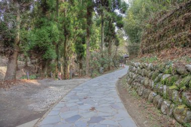 Bereketli yeşilliklerle çevrili sakin bir ormanda taş bir yol örüyor.