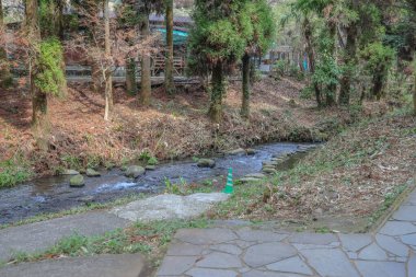 Huzurlu bir orman yolu, ortasından akan bir dereye doğru iniyor.