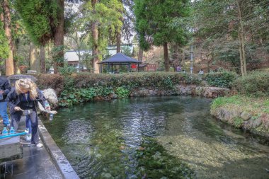 Taştan bir patika ve ahşap bir köprü var. Barış, doğa ve rahatlama temaları için mükemmel..
