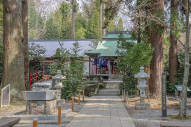 Geleneksel Japon mimarisi barındıran, uzun ağaçların arasına yerleştirilmiş sakin bir türbe.