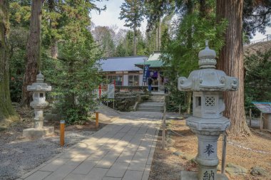 Geleneksel Japon mimarisi barındıran, uzun ağaçların arasına yerleştirilmiş sakin bir türbe.