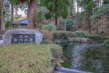 Ormanla çevrili güzel bir su kaynağına sahip huzurlu doğal ortam.,