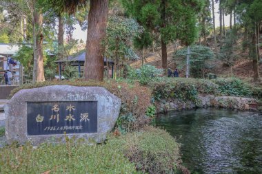 Ormanla çevrili güzel bir su kaynağına sahip huzurlu doğal ortam.,