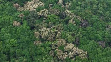 1 Mayıs 2025, Hong Kong Küçük Hawaii Barajı 'na Huzurlu Yürüyüş  