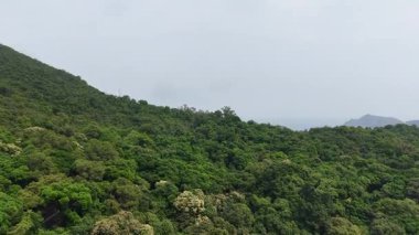 1 Mayıs 2025, Hong Kong Küçük Hawaii Barajı 'na Huzurlu Yürüyüş  