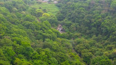 Yükselen şelalenin olduğu canlı yeşil bir orman.