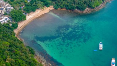 Bereketli ormanlarla çevrili sakin bir plajı gösteren görkemli hava manzarası