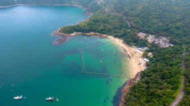 Bereketli ormanlarla çevrili sakin bir plajı gösteren görkemli hava manzarası