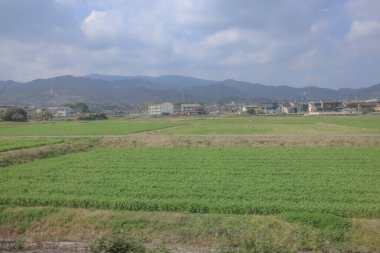 Modern çiftçiliği, doğayı ve kırsal yaşamı resmediyor..