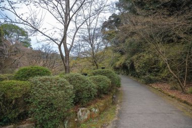 Ziyaretçiler, etrafları sarılmış sakin bir dağ yolunda yürümekten hoşlanırlar.