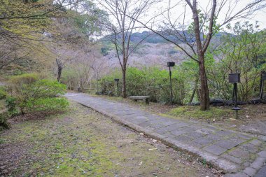 Ziyaretçiler, etrafları sarılmış sakin bir dağ yolunda yürümekten hoşlanırlar.