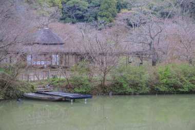 Geleneksel bir Japon evinin, sakin bir göletin ve kiraz ağaçlarının güzel manzarası.