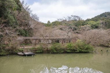 Geleneksel bir Japon evinin, sakin bir göletin ve kiraz ağaçlarının güzel manzarası.