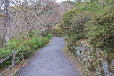 Ziyaretçiler, etrafları sarılmış sakin bir dağ yolunda yürümekten hoşlanırlar.