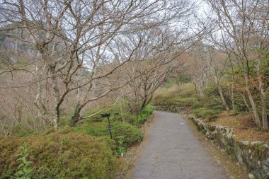 Ziyaretçiler, etrafları sarılmış sakin bir dağ yolunda yürümekten hoşlanırlar.