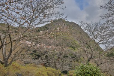 Bulutlu bir gökyüzü altında, dinginlik ve doğal güzelliği çağrıştırıyor..
