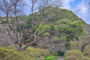 Bulutlu bir gökyüzü altında, dinginlik ve doğal güzelliği çağrıştırıyor..