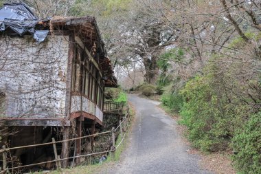 Huzurlu bir açık hava sahnesi, çalılarla, ağaçlarla dolu bir bahçeyi gözler önüne seriyor.