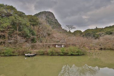 Geleneksel bir Japon evinin, sakin bir göletin ve kiraz ağaçlarının güzel manzarası.