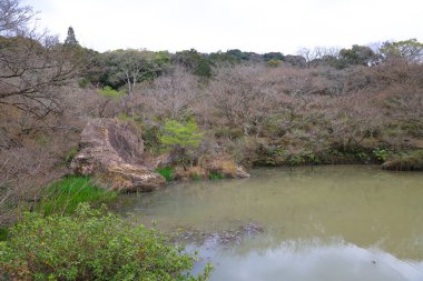 Ağaç dallarıyla çevrili bir gölet, sakin bir açık havayı yansıtıyor.