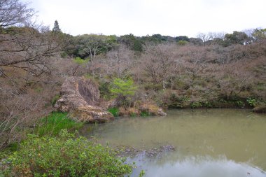 Ağaç dallarıyla çevrili bir gölet, sakin bir açık havayı yansıtıyor.