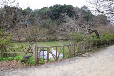 Huzurlu geleneksel Japon ahşap evi