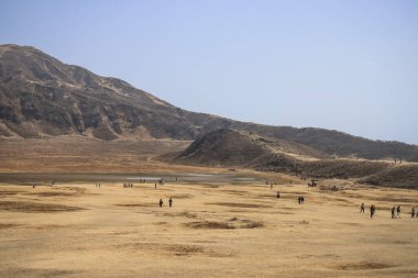 Uçsuz bucaksız düzlükler, parlak tepelere doğru uzanır.,