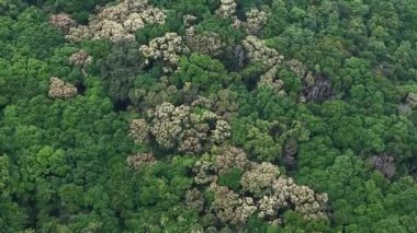 Istakoz Körfezi Patikasında Yürüyüş Macerası, 1 Mayıs 2025  