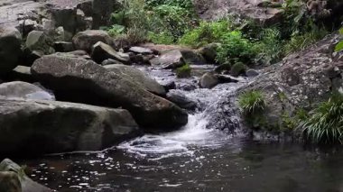 1 Mayıs 2025, Hong Kong Küçük Hawaii Barajı 'na Huzur Yürüyüşü  